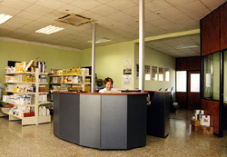 Faci click per ampliar l'imatge